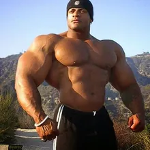 Aris monengue
